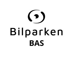 BAS (1)